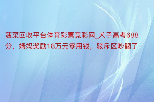 菠菜回收平台体育彩票竞彩网_犬子高考688分，姆妈奖励18万元零用钱，驳斥区吵翻了